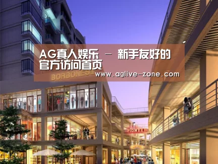 案例展示一(图1)