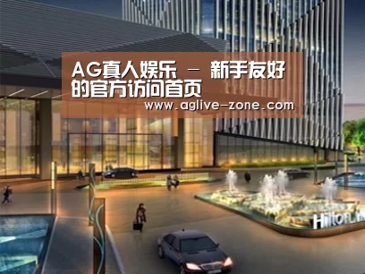 案例展示二