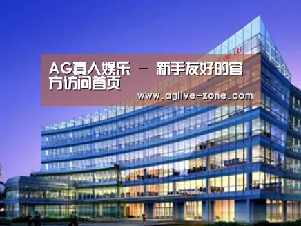 案例展示五