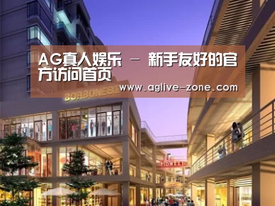 案例展示一