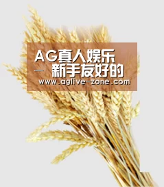 AG真人娱乐 - 新手友好的官方访问首页