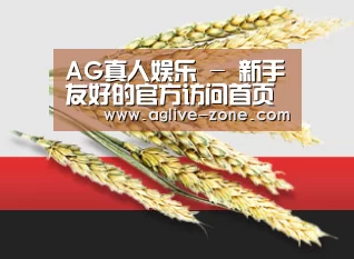 AG真人娱乐 - 新手友好的官方访问首页