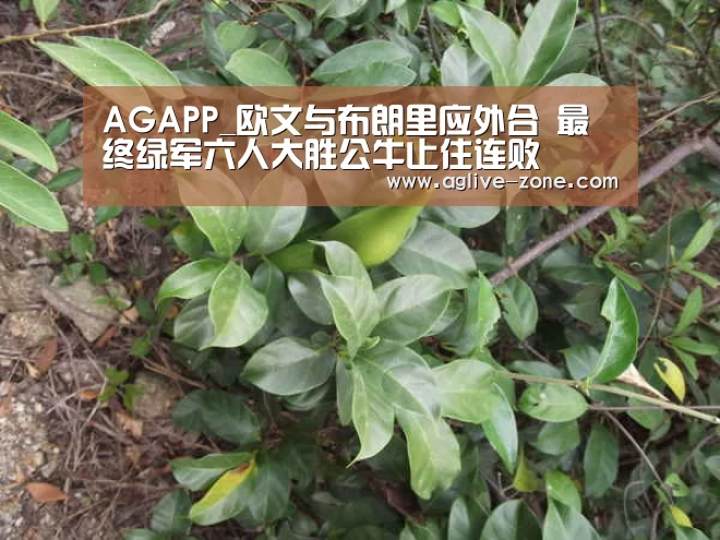 AG百家乐