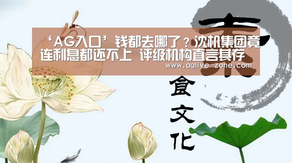‘AG入口’钱都去哪了？沈机集团竟连利息都还不上 评级机构直言其存管理漏洞(图3)