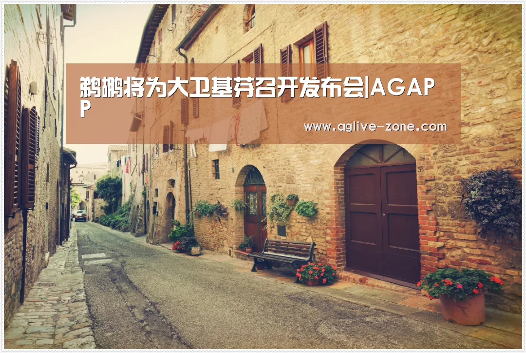 鹈鹕将为大卫基芬召开发布会|AGAPP(图1) AG百家乐