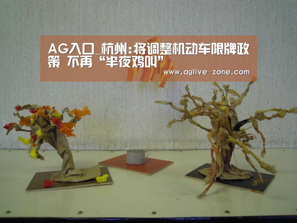 AG入口_杭州:将调整机动车限牌政策 不再“半夜鸡叫”(图2) AG百家乐